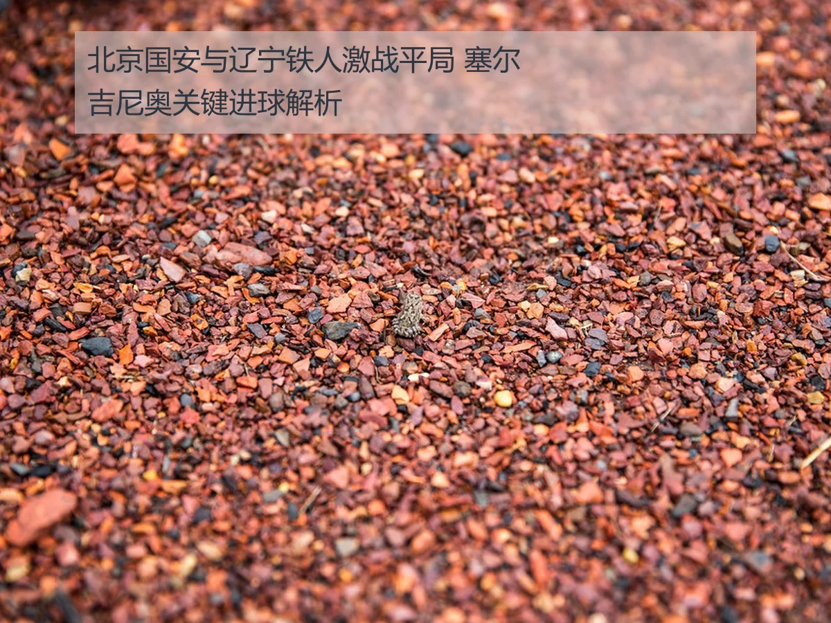 北京国安与辽宁铁人激战平局 塞尔吉尼奥关键进球解析