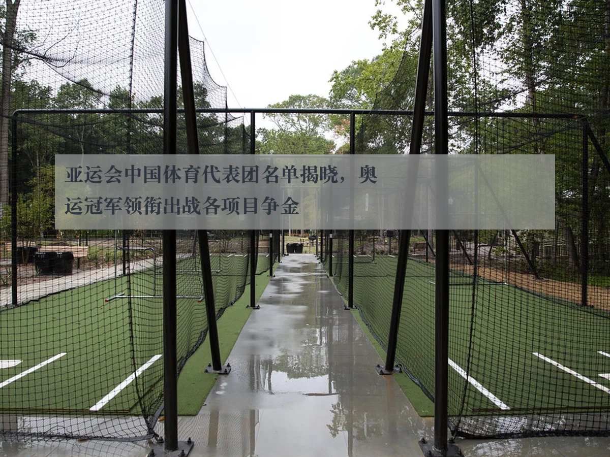亚运会中国体育代表团名单揭晓，奥运冠军领衔出战各项目争金